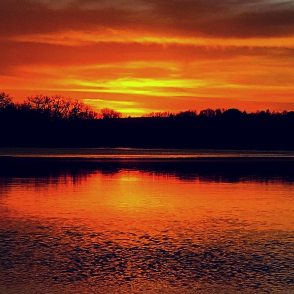 Meet your Posher, Megan - Picture 1 of 1